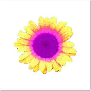 Hello Sunshine - Yellow Flower with Hot Pink Retro Vibe Posters and Art